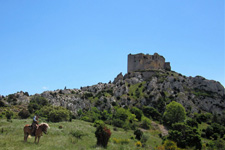 France-Provence-Provence to Camargue Mediterranean Ride